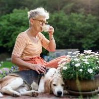 TBE vaccination package for adults - The way to deal with ticks