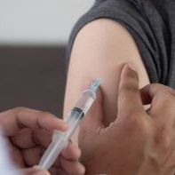 Dengue fever vaccination