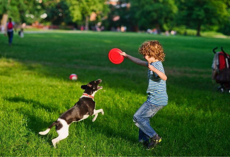 Szczepienia przeciwko KZM