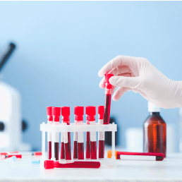 Hematolog