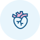 Holter RR