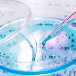 Genetic panels for hereditary cancers Predict&Prevent - 138 genes